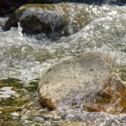 Ho-Ho-Kus Nature Trail - Ho-Ho-Kus