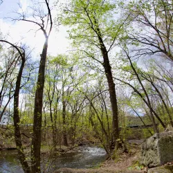 Ho-Ho-Kus Nature Trail - Ho-Ho-Kus