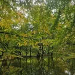 Ho-Ho-Kus Nature Trail - Ho-Ho-Kus