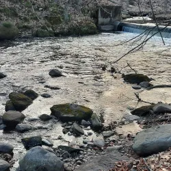 Ho-Ho-Kus Nature Trail - Ho-Ho-Kus