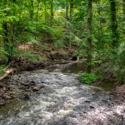 Ho-Ho-Kus Nature Trail - Ho-Ho-Kus