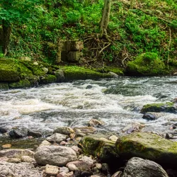 Ho-Ho-Kus Nature Trail - Ho-Ho-Kus