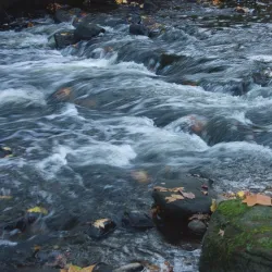 Ho-Ho-Kus Nature Trail - Ho-Ho-Kus