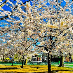 Church Square Park - Hoboken