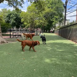 Elysian Park - Hoboken