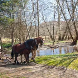 Howell Living History Farm - Howell Township