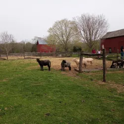 Howell Living History Farm - Howell Township