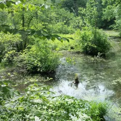 Howell Park Golf Course - Howell Township