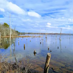 Manasquan River Greenway - Howell Township