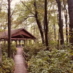 Turkey Swamp Park - Howell Township