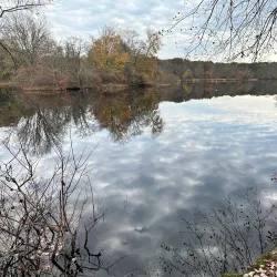 Turkey Swamp Park - Howell Township