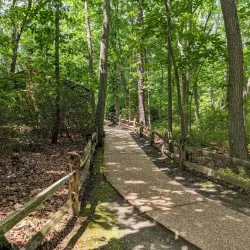 Turkey Swamp Park - Howell Township