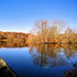 Turkey Swamp Park - Howell Township