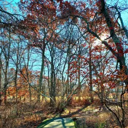 Turkey Swamp Park - Howell Township