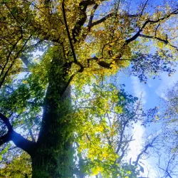 Veterans Park - Howell Township