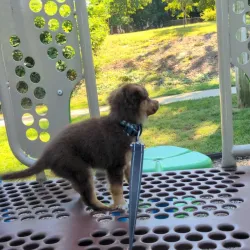 Veterans Park - Howell Township