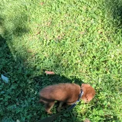 Veterans Park - Howell Township