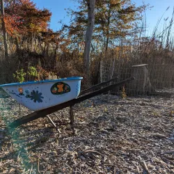 Jackson Woods Park - Jackson