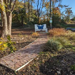 Jackson Woods Park - Jackson