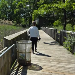 Jackson Woods Park - Jackson