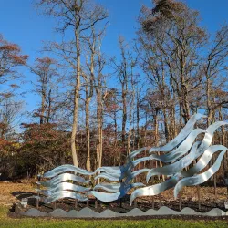 Jackson Woods Park - Jackson