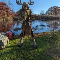 Jackson Woods Park - Jackson