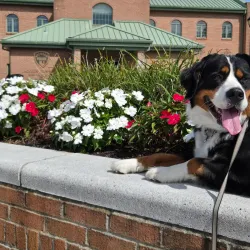 Ocean County Library - Jackson Branch - Jackson