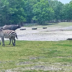 Six Flags Great Adventure - Jackson