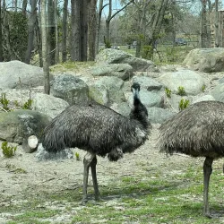 Six Flags Great Adventure - Jackson