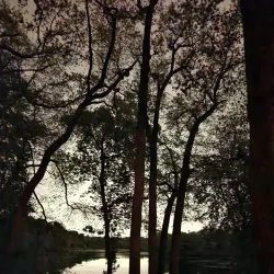 Veterans Memorial Park - Jackson