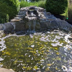 Veterans Memorial Park - Jackson