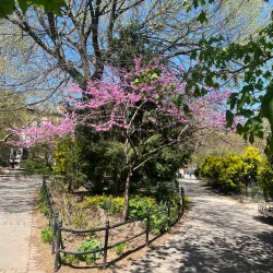 Van Vorst Park - Jersey City