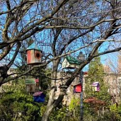 Van Vorst Park - Jersey City