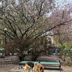 Van Vorst Park - Jersey City