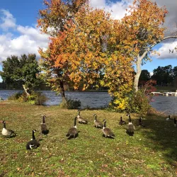 Lake Carasaljo - Lakewood Township