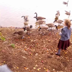 Lake Carasaljo - Lakewood Township