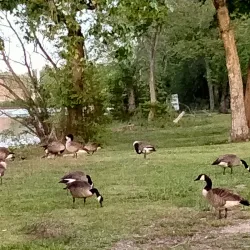 Lake Carasaljo - Lakewood Township