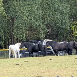 Lakewood Country Club - Lakewood Township