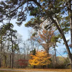 Pine Park - Lakewood Township