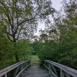 Pine Park - Lakewood Township