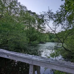 Pine Park - Lakewood Township