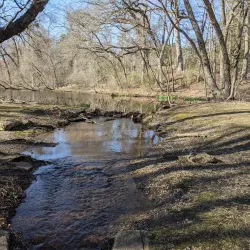 Pine Park - Lakewood Township