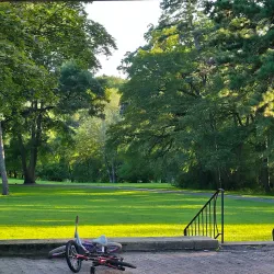 Pine Park - Lakewood Township