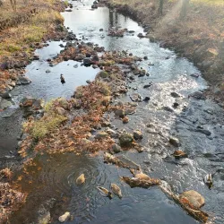 Goffle Brook Park - Little Falls