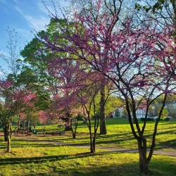 Goffle Brook Park - Little Falls
