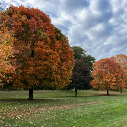 Goffle Brook Park - Little Falls