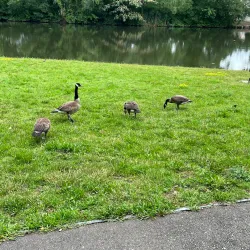 Goffle Brook Park - Little Falls