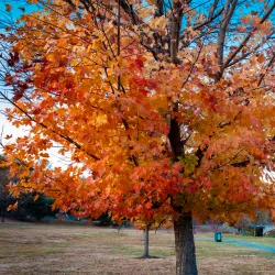 Goffle Brook Park - Little Falls