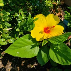 Memorial Park - Little Falls