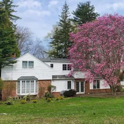 Passaic River - Little Falls